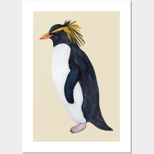 Northern Rockhopper Penguin Posters and Art